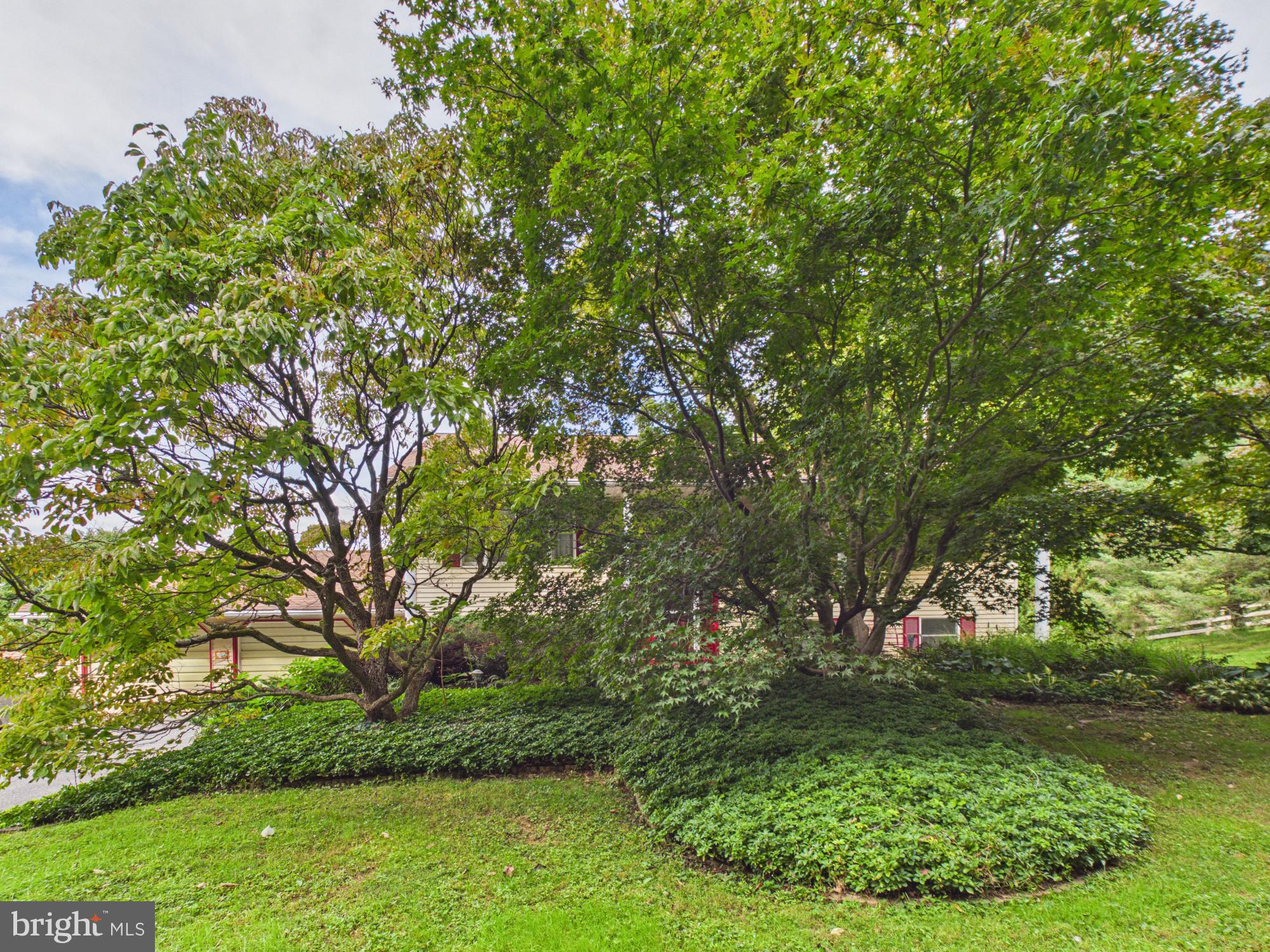 147 FROGTOWN ROAD