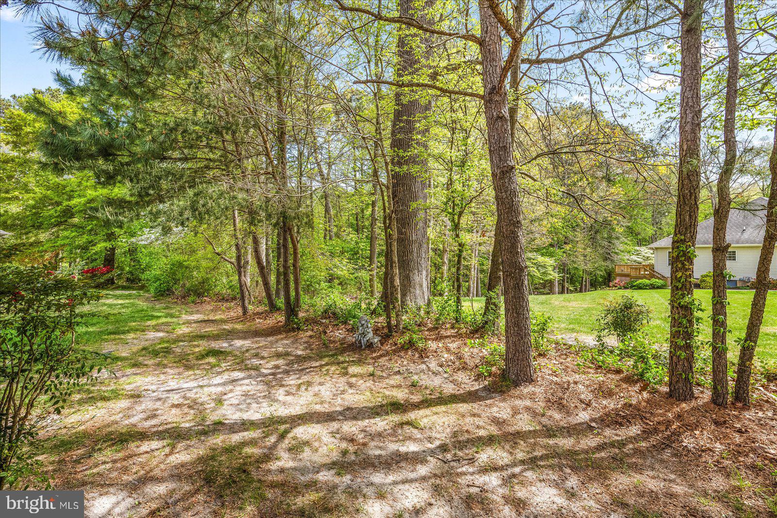 VILLAGE OF TONY TANK - Residential