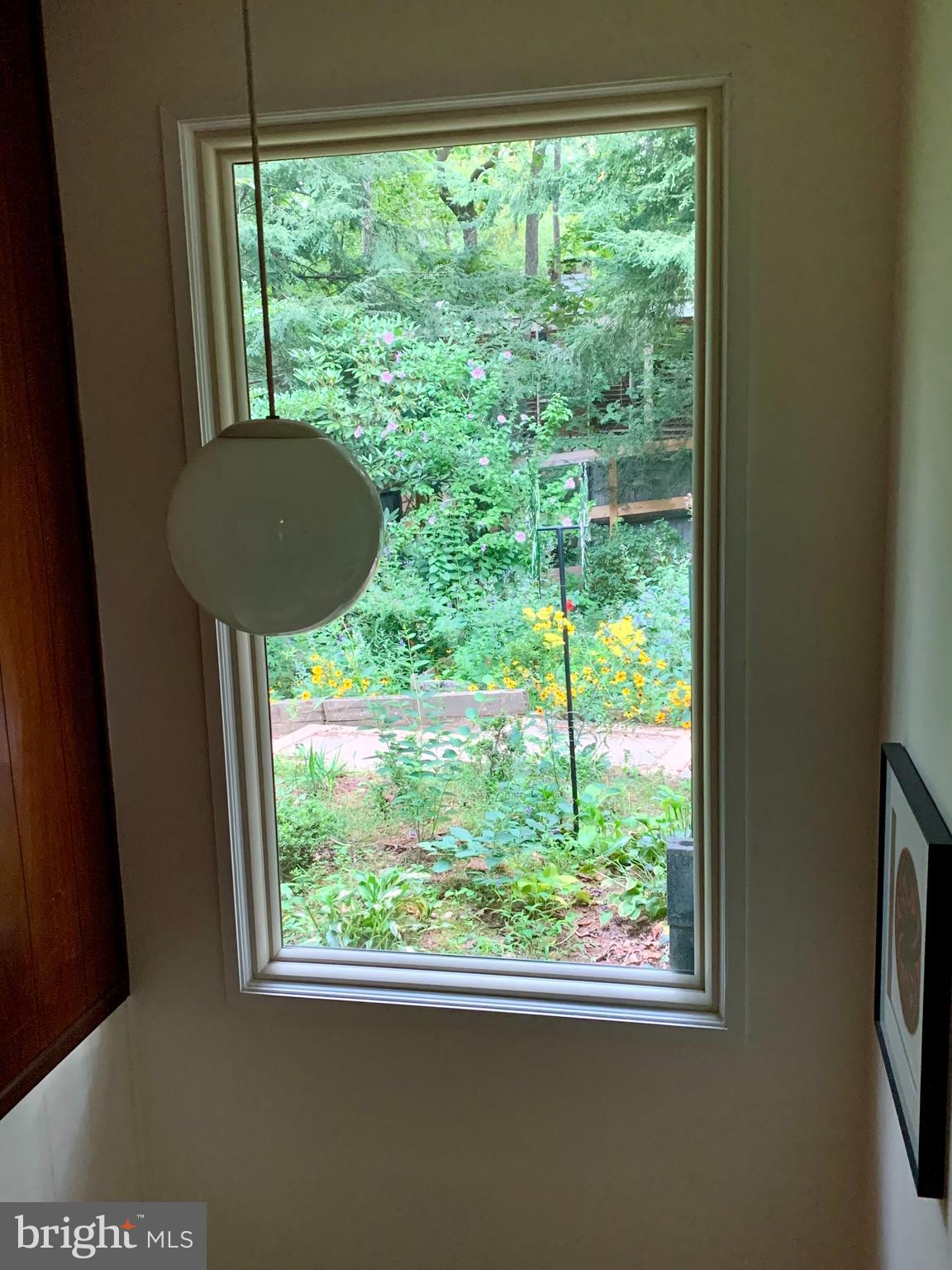 CARDEROCK SPRINGS - Residential