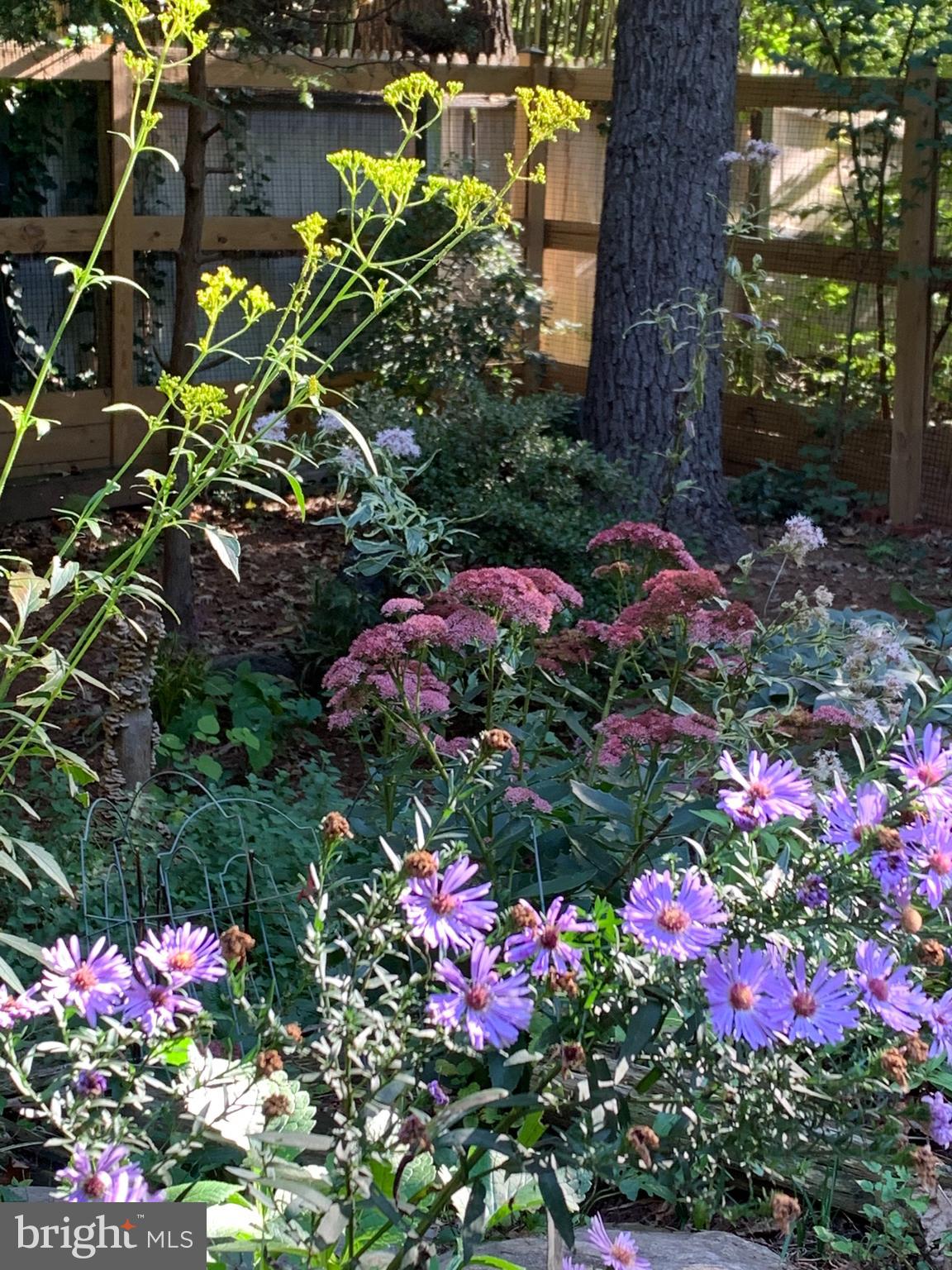 CARDEROCK SPRINGS - Residential