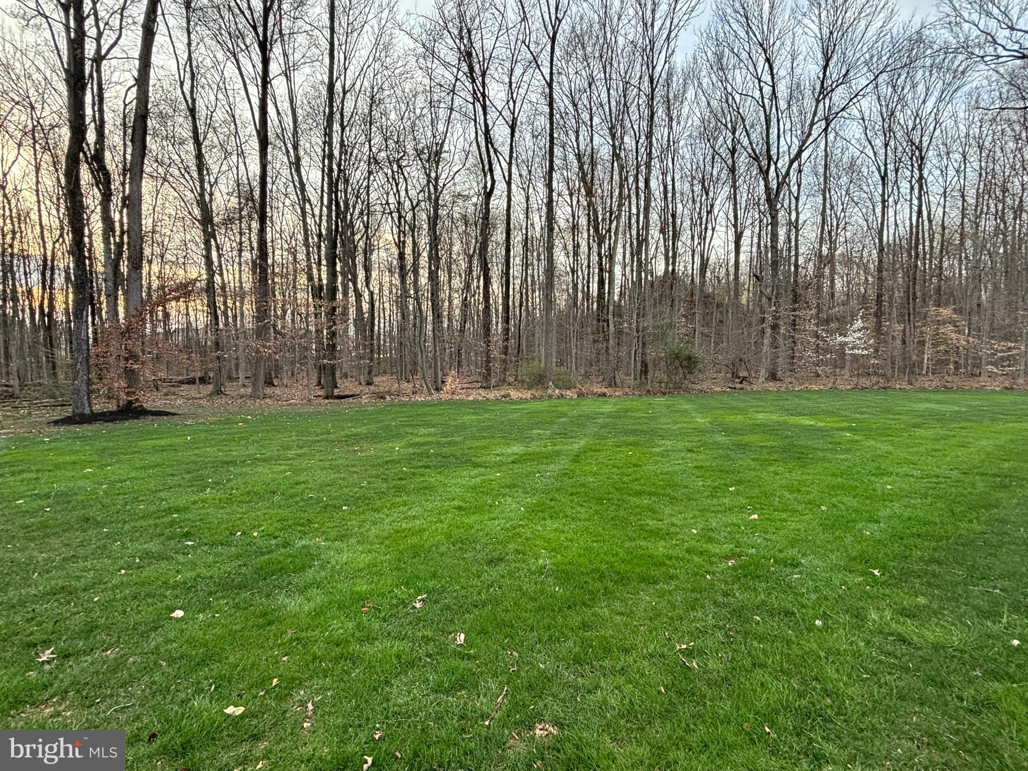 2323 QUEENSBURY DRIVE