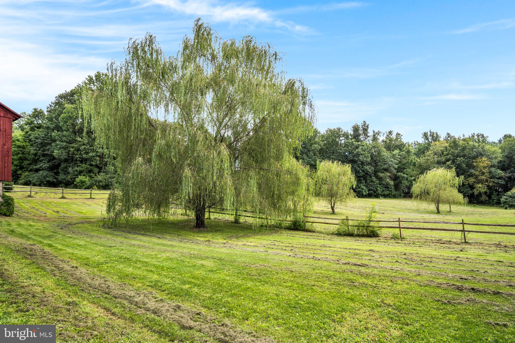 1703 MOUNTAIN ROAD