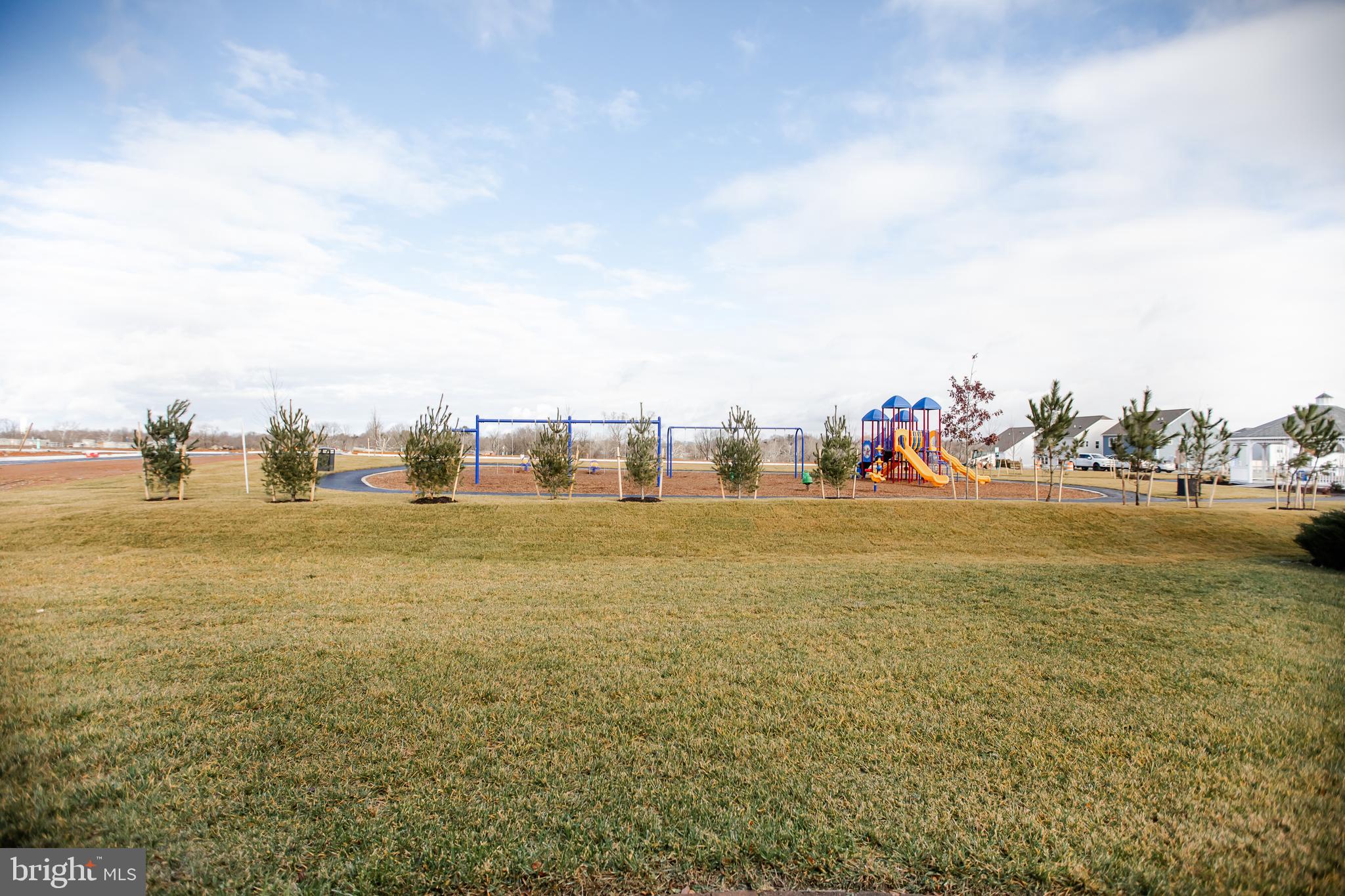 SHENANDOAH SPRINGS - Residential