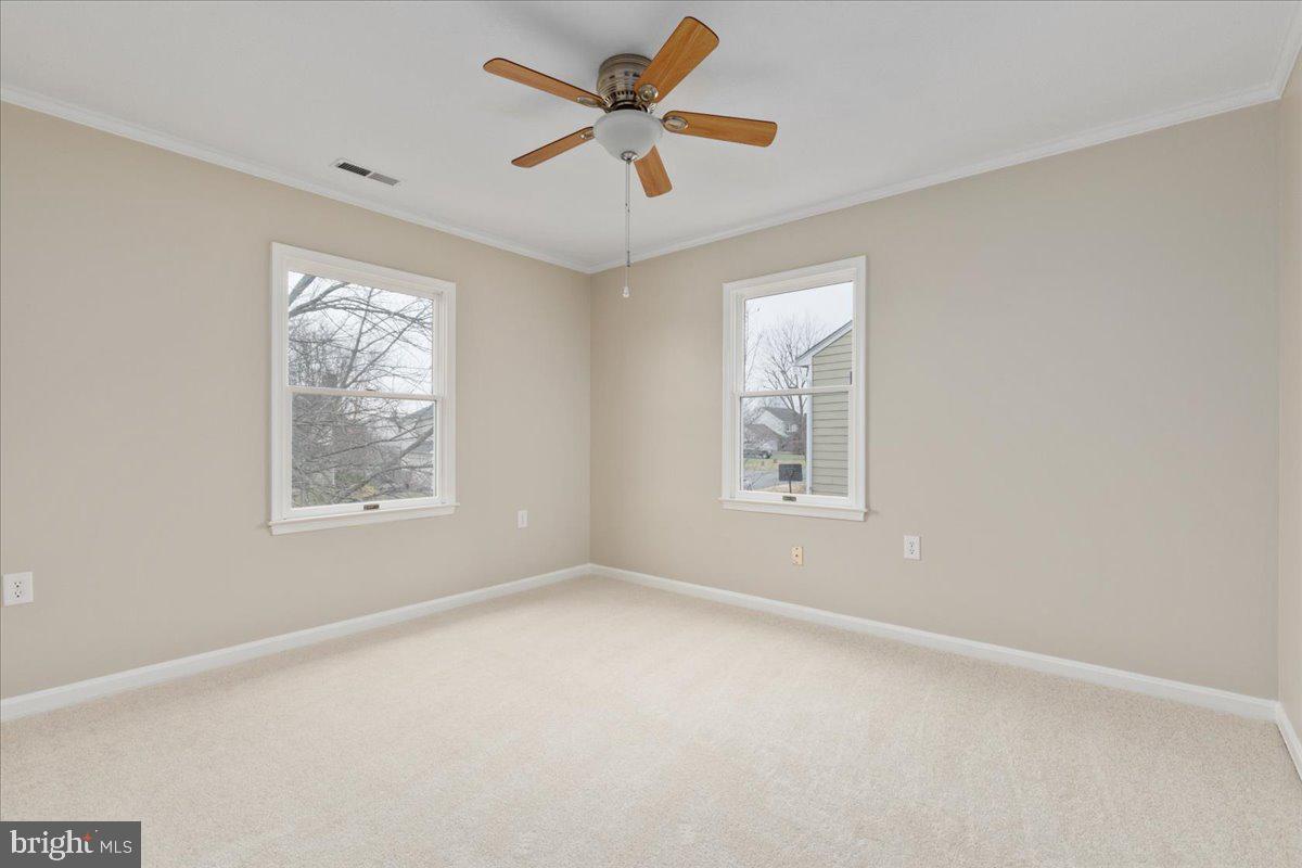 ALBIN VILLAGE - Residential