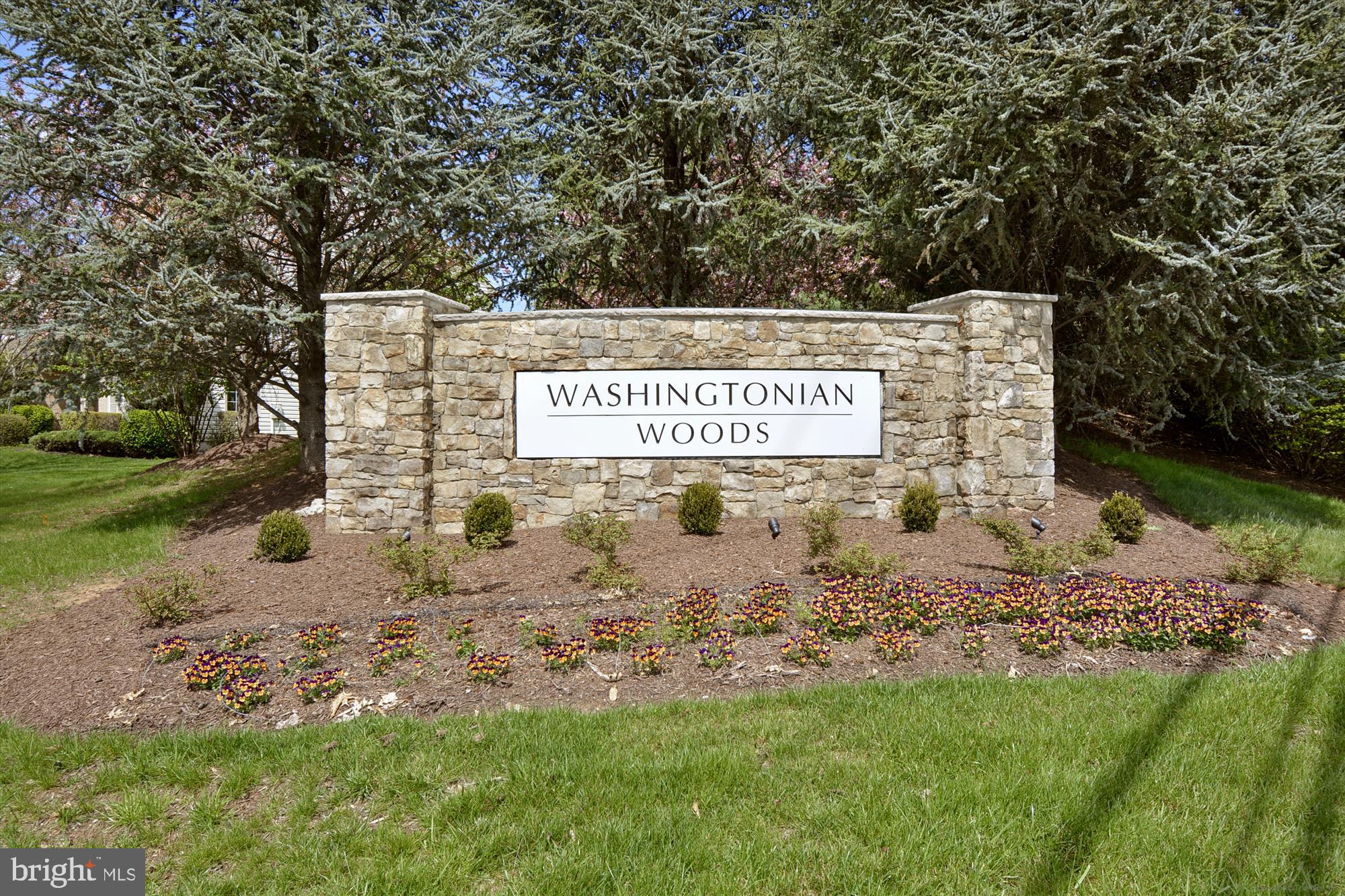 WASHINGTONIAN WOODS - Residential