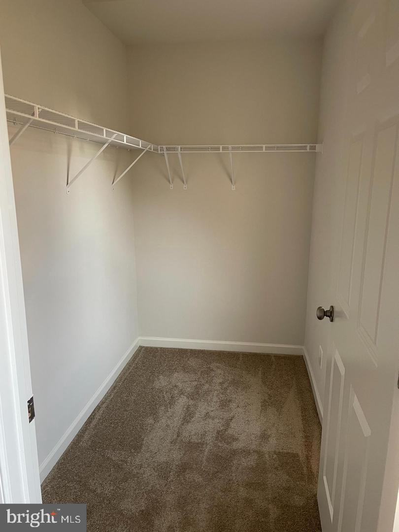 SNOWDEN BRIDGE - Residential Lease