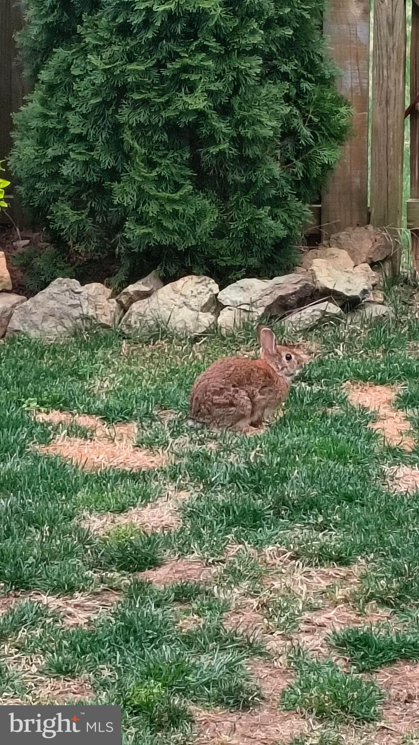 COUNTRYSIDE - Residential