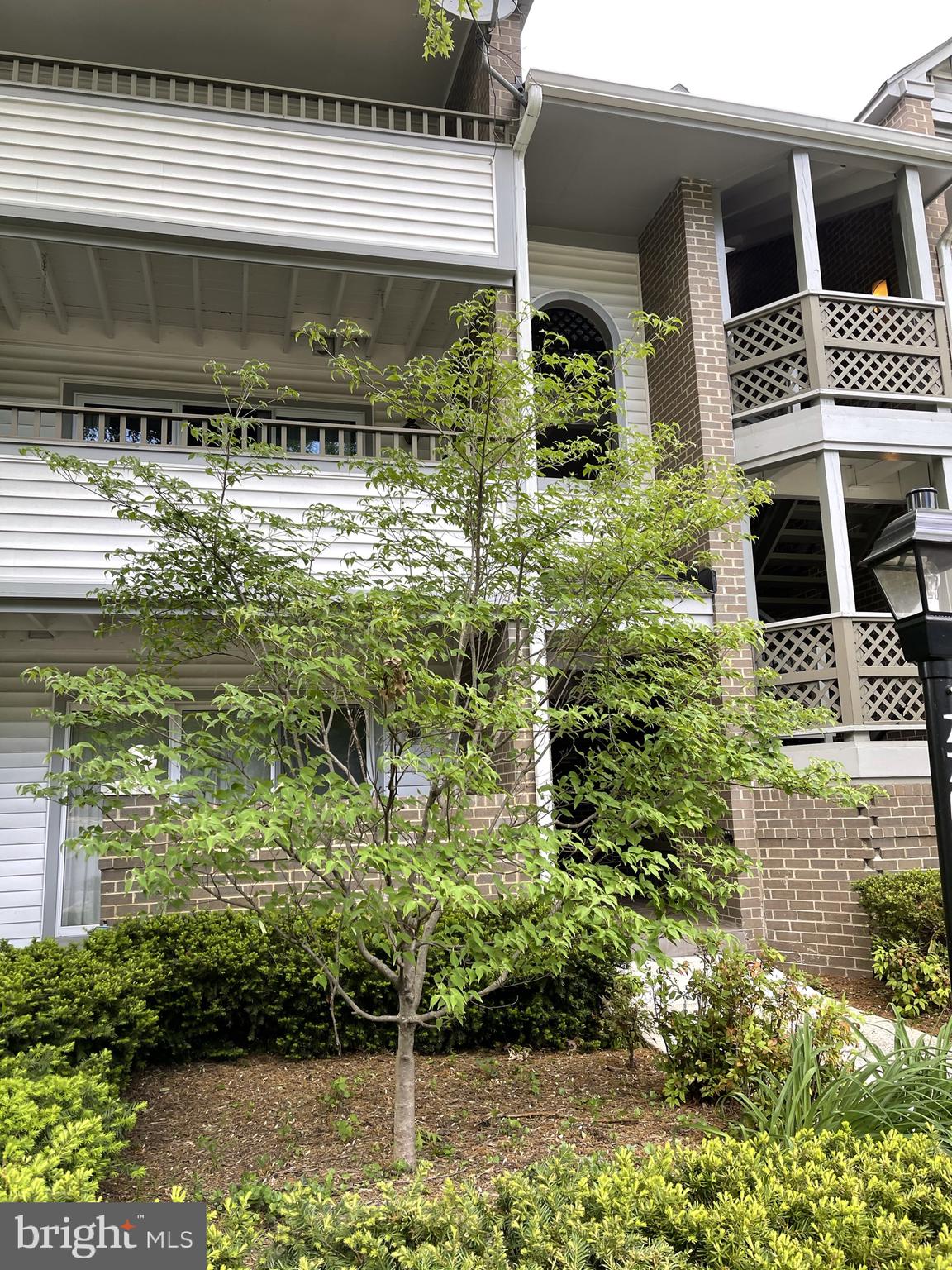 LAFAYETTE FOREST - Residential Lease