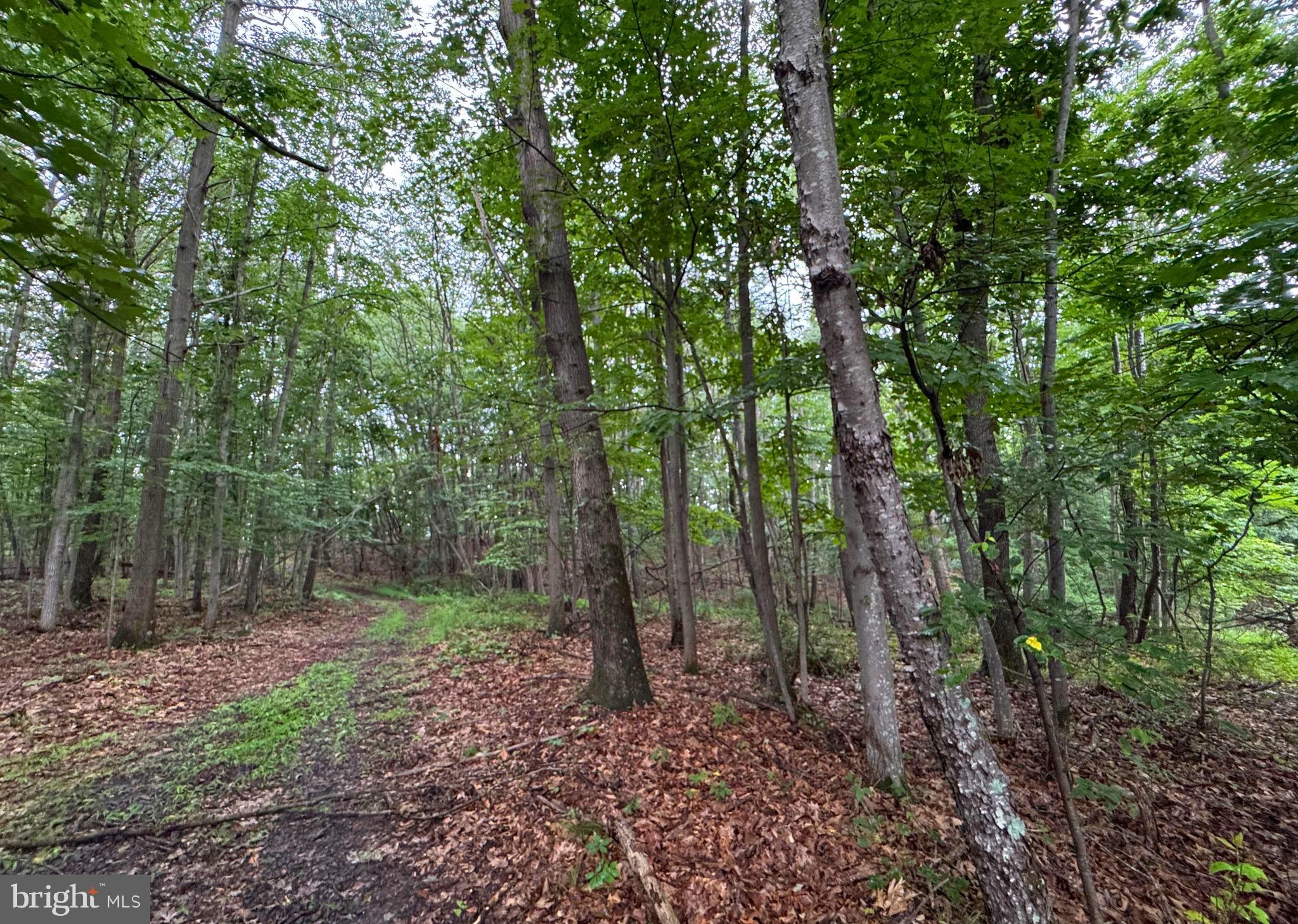 NONE AVAILABLE - Land