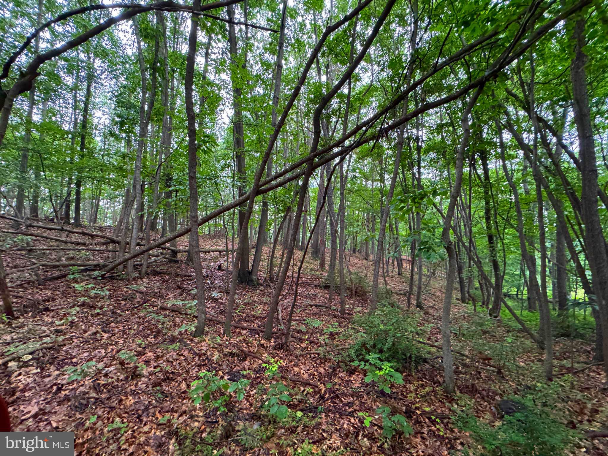 NONE AVAILABLE - Land