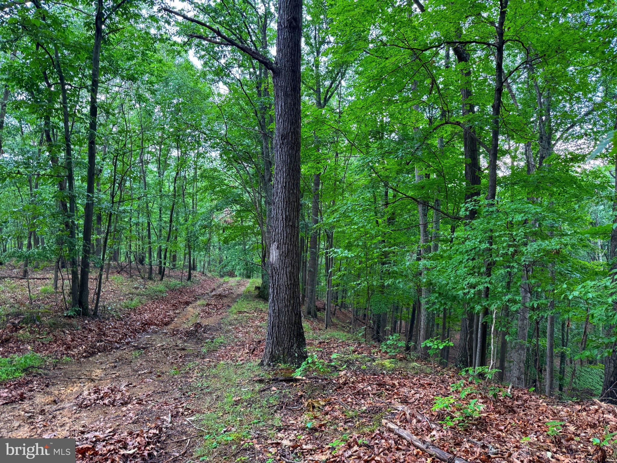 NONE AVAILABLE - Land