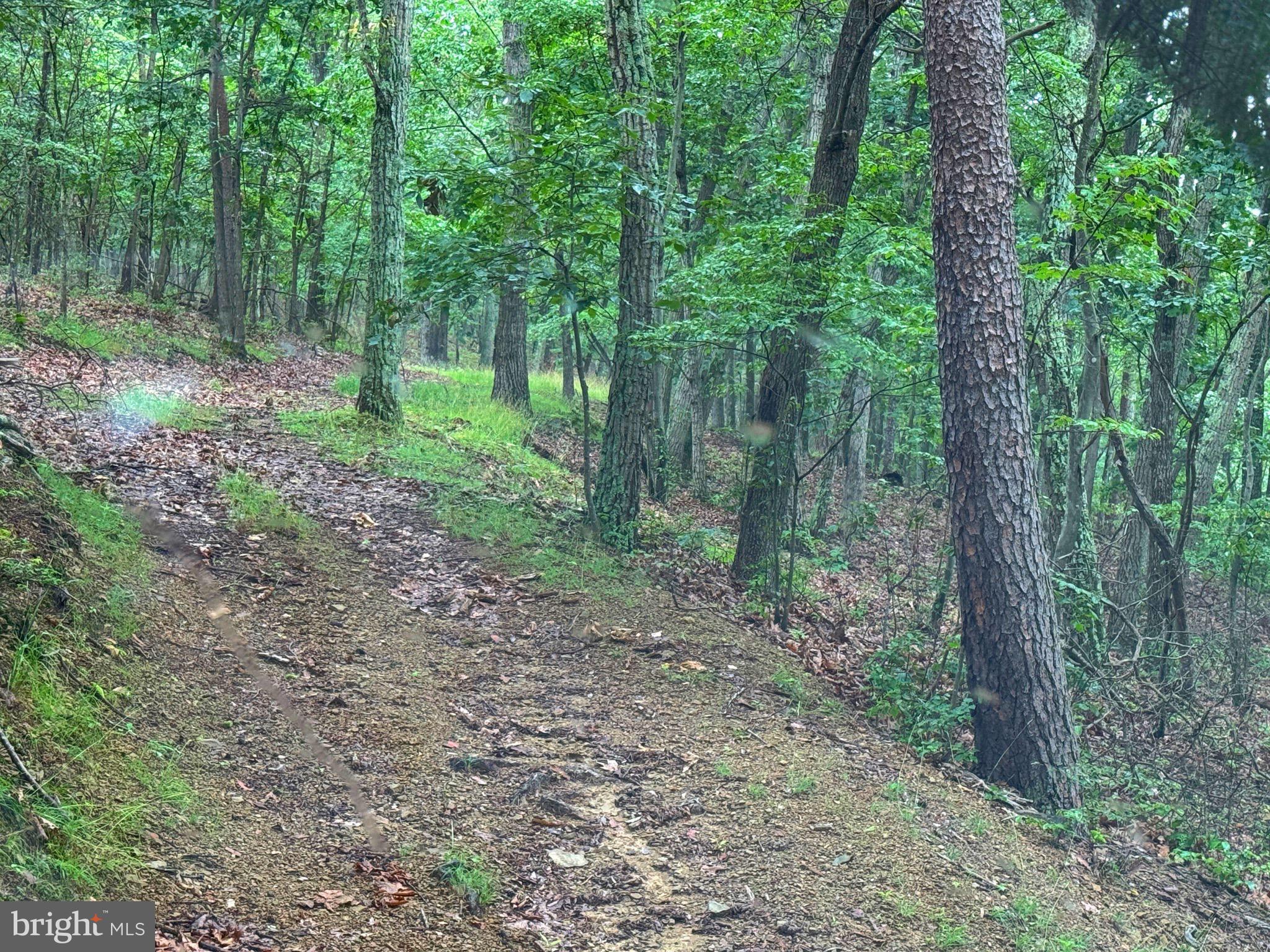 NONE AVAILABLE - Land