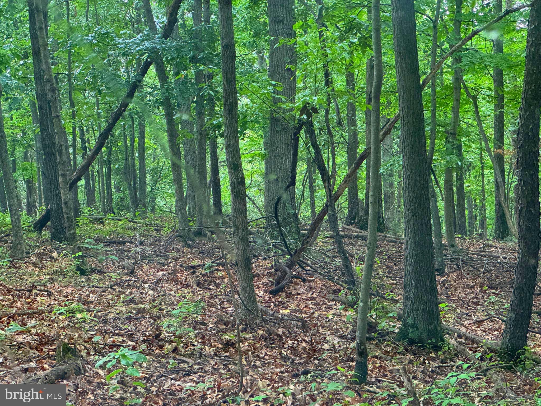 NONE AVAILABLE - Land