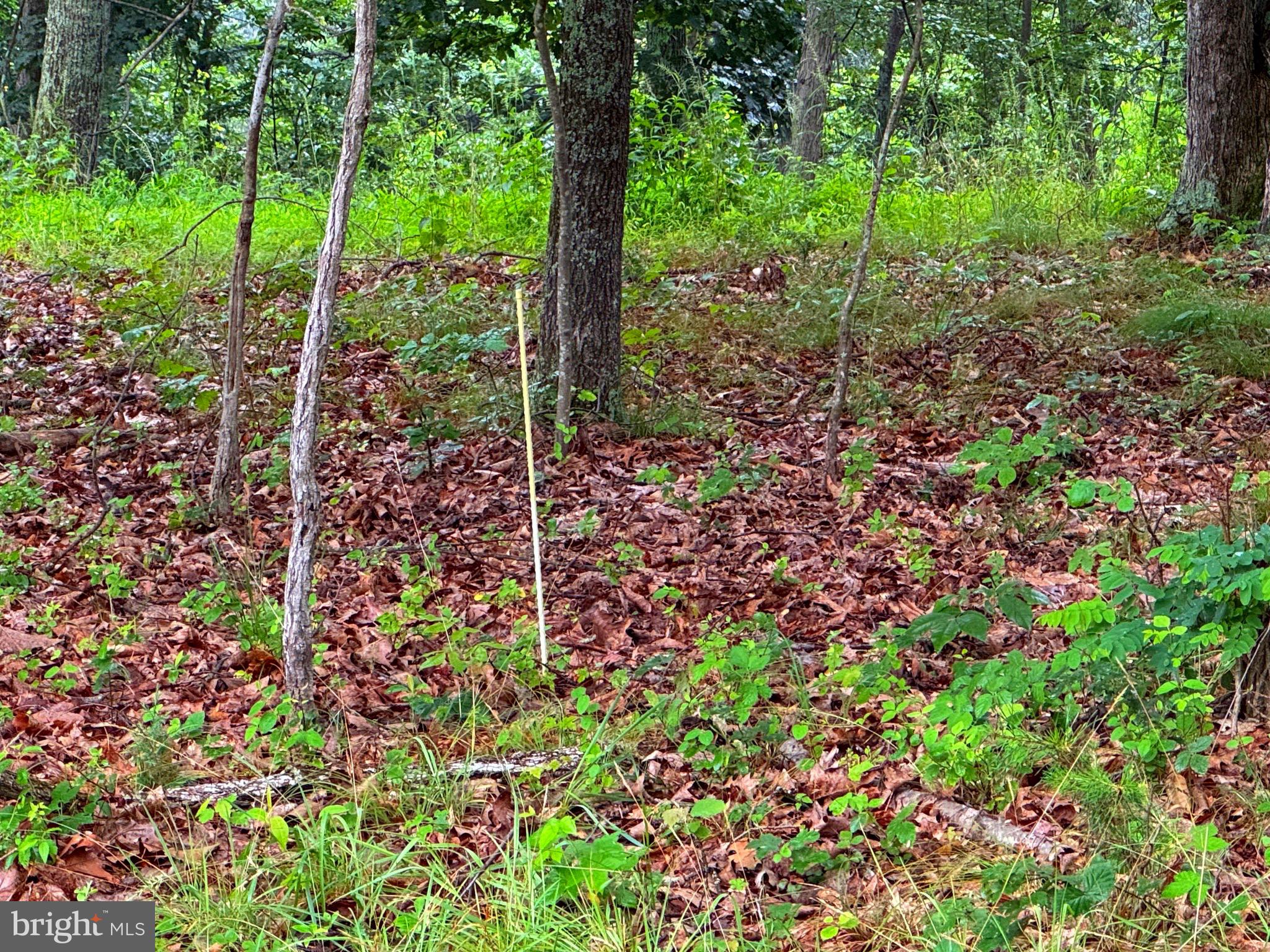 NONE AVAILABLE - Land