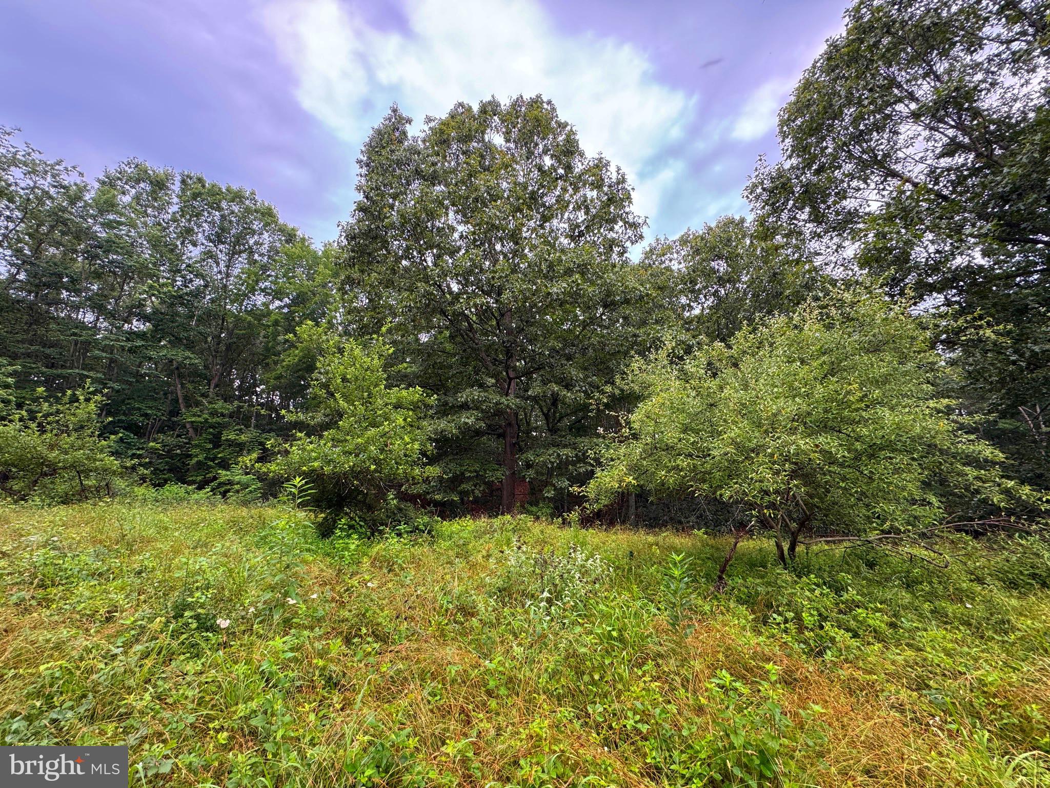 NONE AVAILABLE - Land