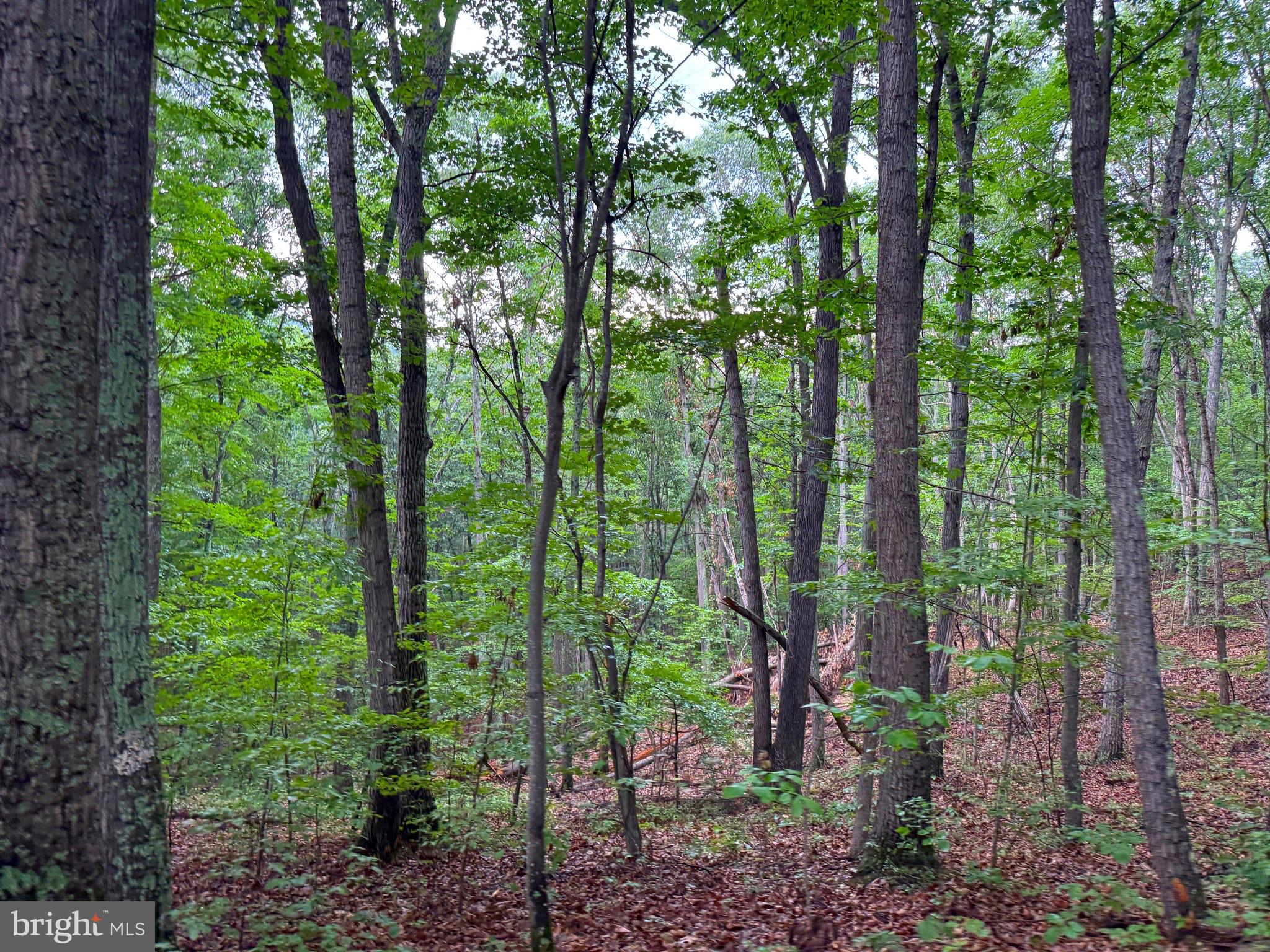 NONE AVAILABLE - Land