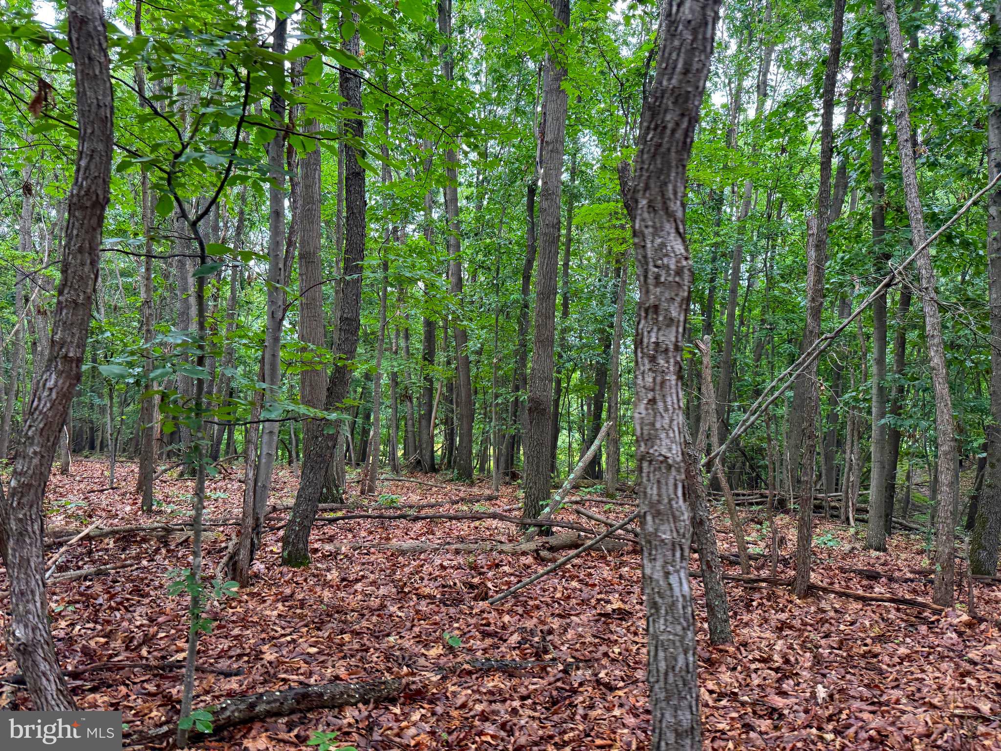 NONE AVAILABLE - Land