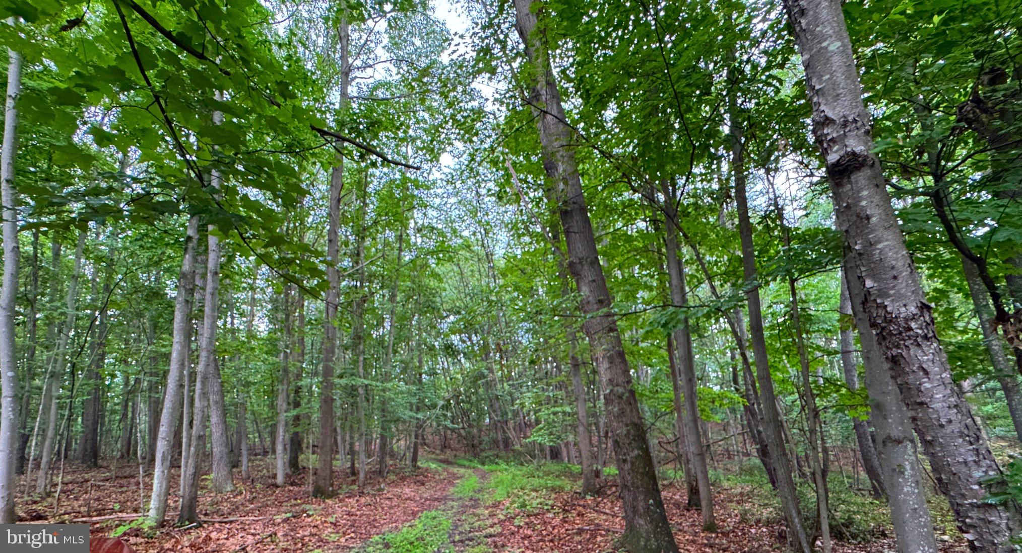 NONE AVAILABLE - Land