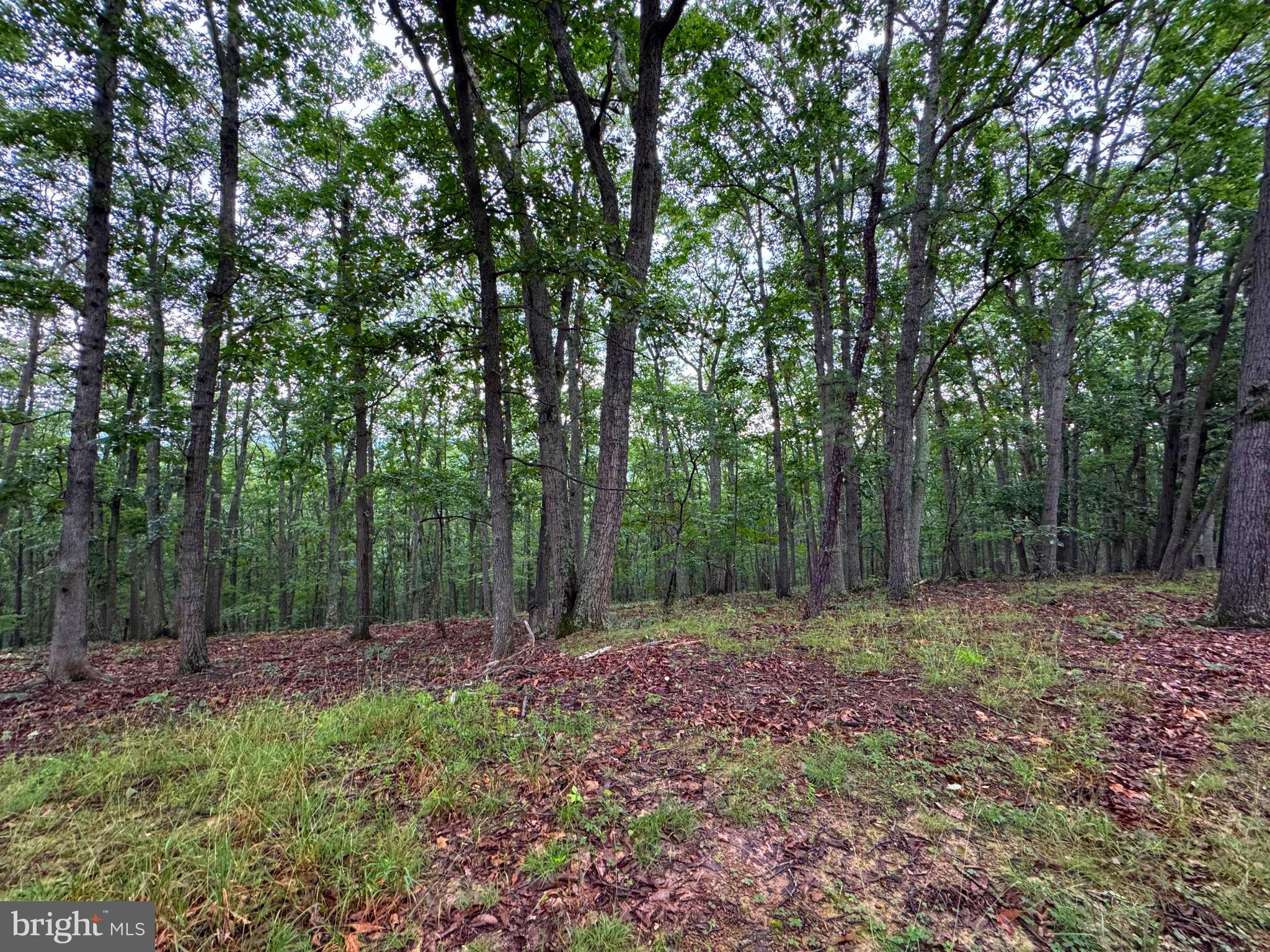 NONE AVAILABLE - Land