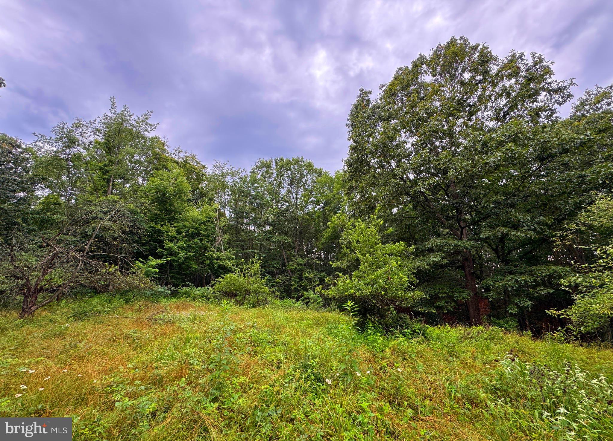 NONE AVAILABLE - Land