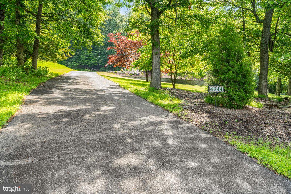 4644 OLD SWIMMING POOL ROAD