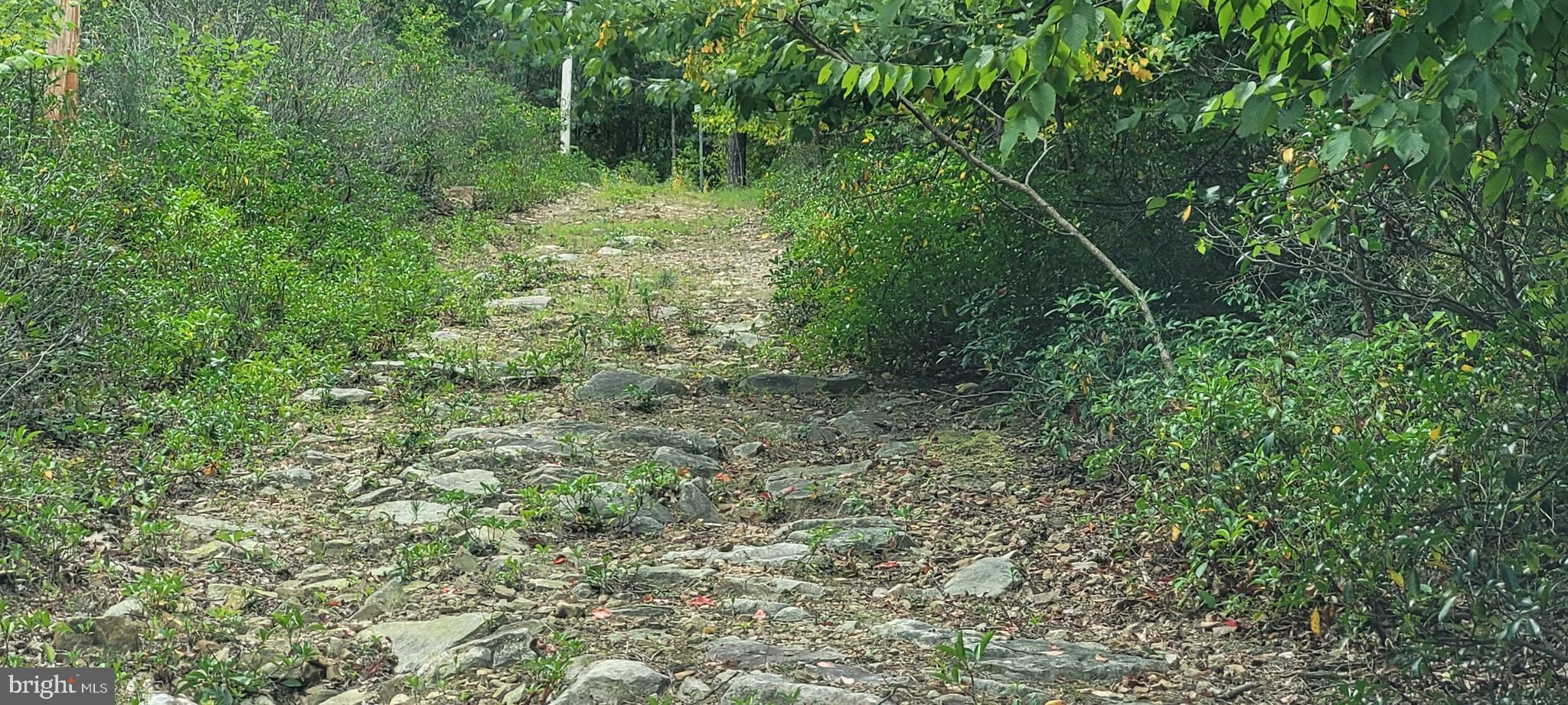 VALLEY HIGH TIMBER FARMS - Land