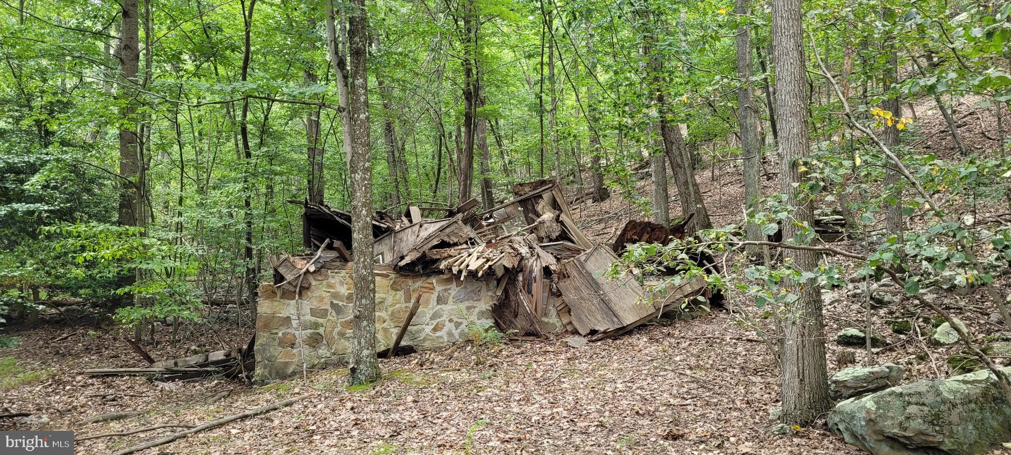 VALLEY HIGH TIMBER FARMS - Land