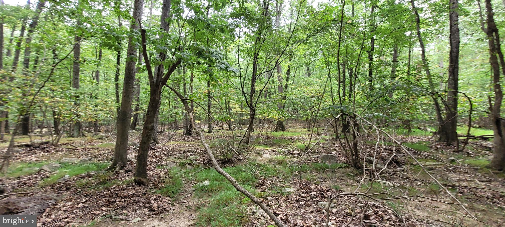 VALLEY HIGH TIMBER FARMS - Land