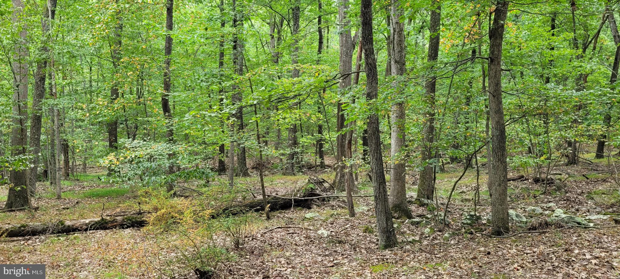 VALLEY HIGH TIMBER FARMS - Land