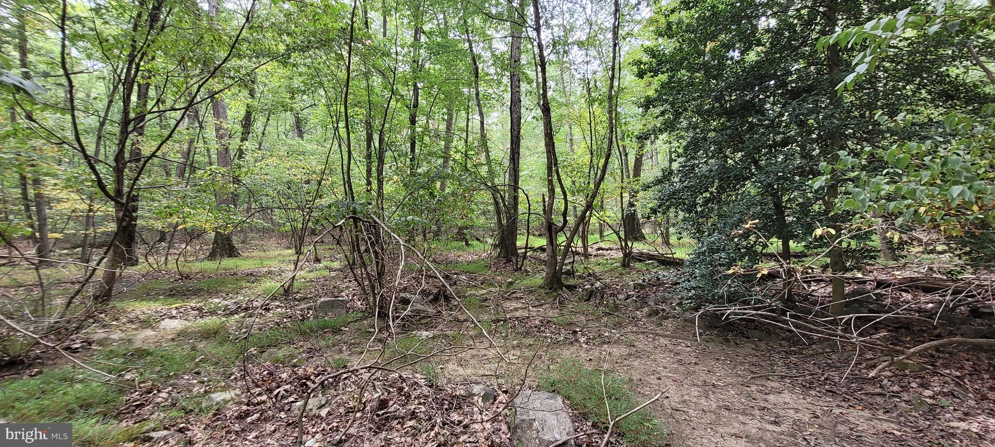 VALLEY HIGH TIMBER FARMS - Land