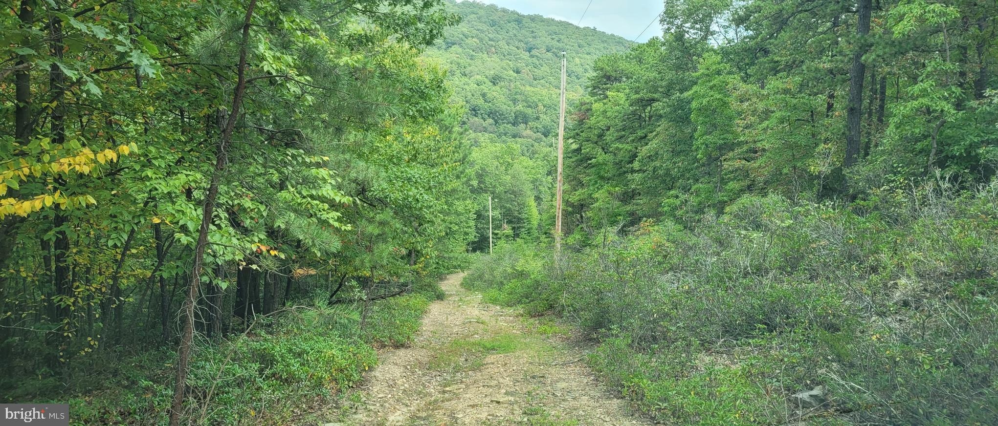 VALLEY HIGH TIMBER FARMS - Land