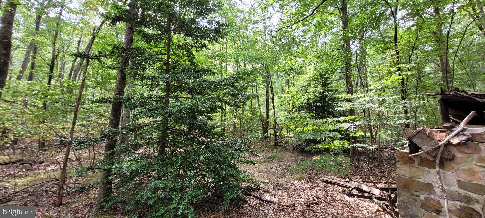 VALLEY HIGH TIMBER FARMS - Land