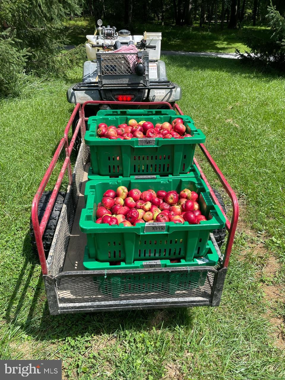 KEEDYSVILLE - Residential