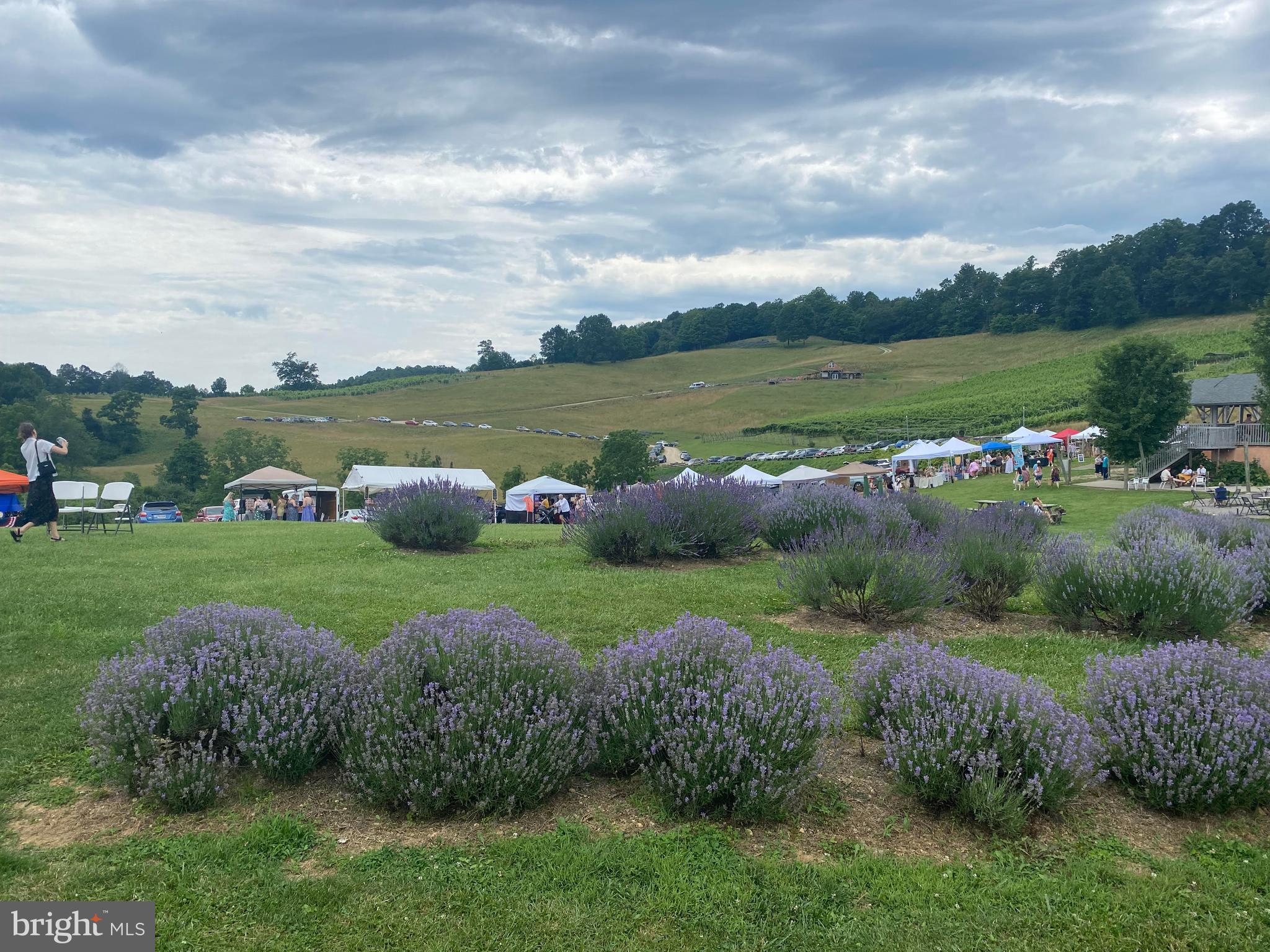 NONE AVAILABLE - Farm