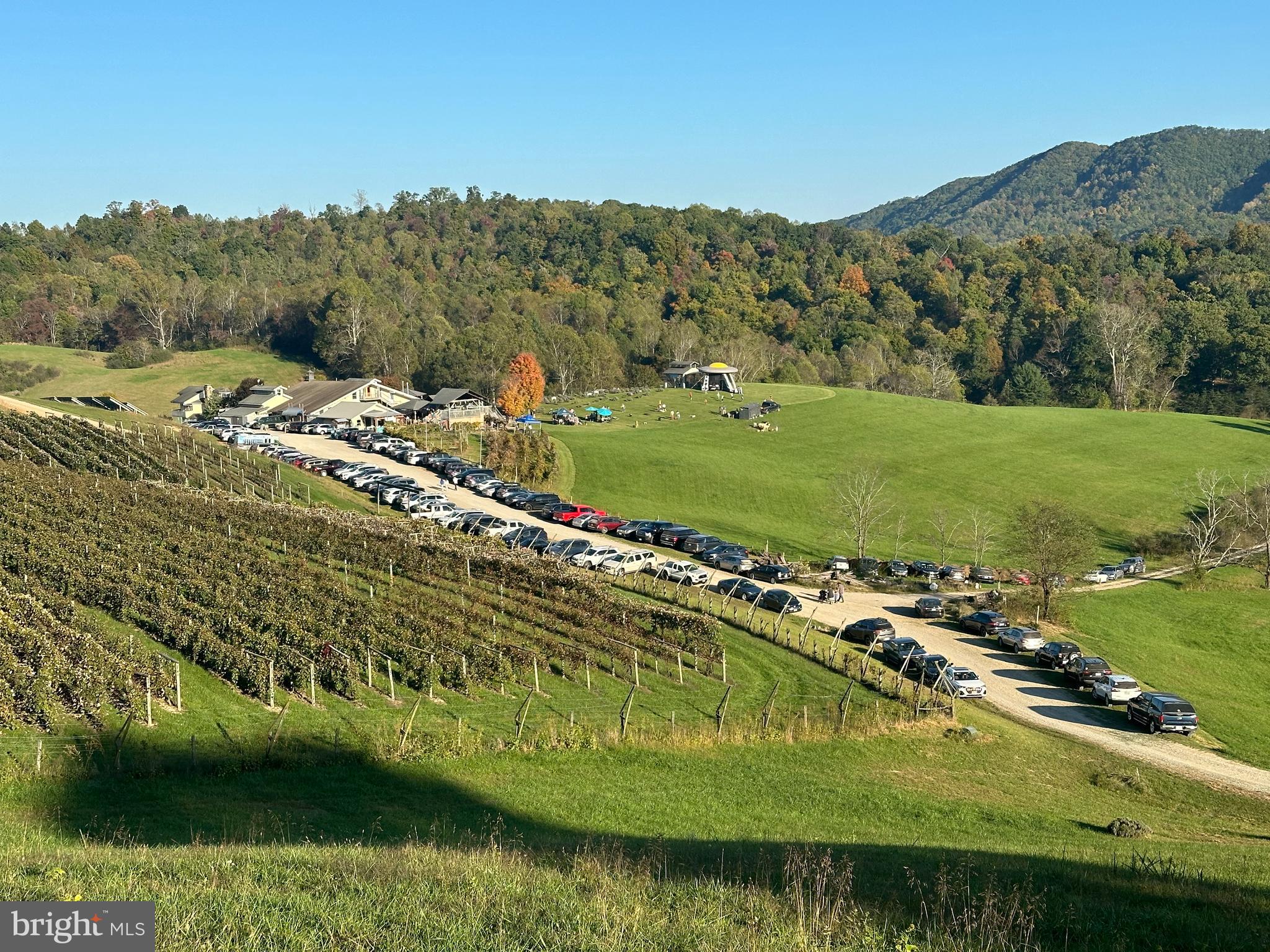 NONE AVAILABLE - Farm