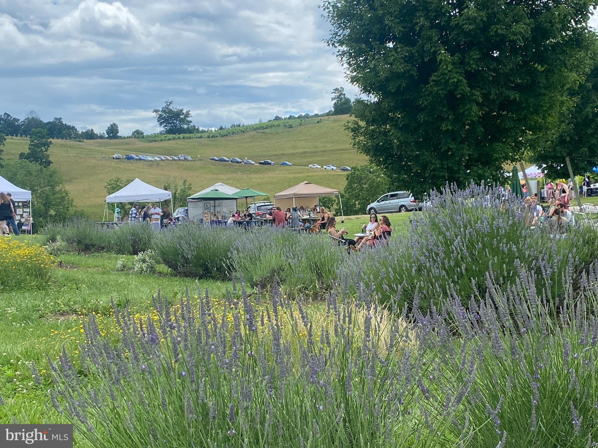 NONE AVAILABLE - Farm