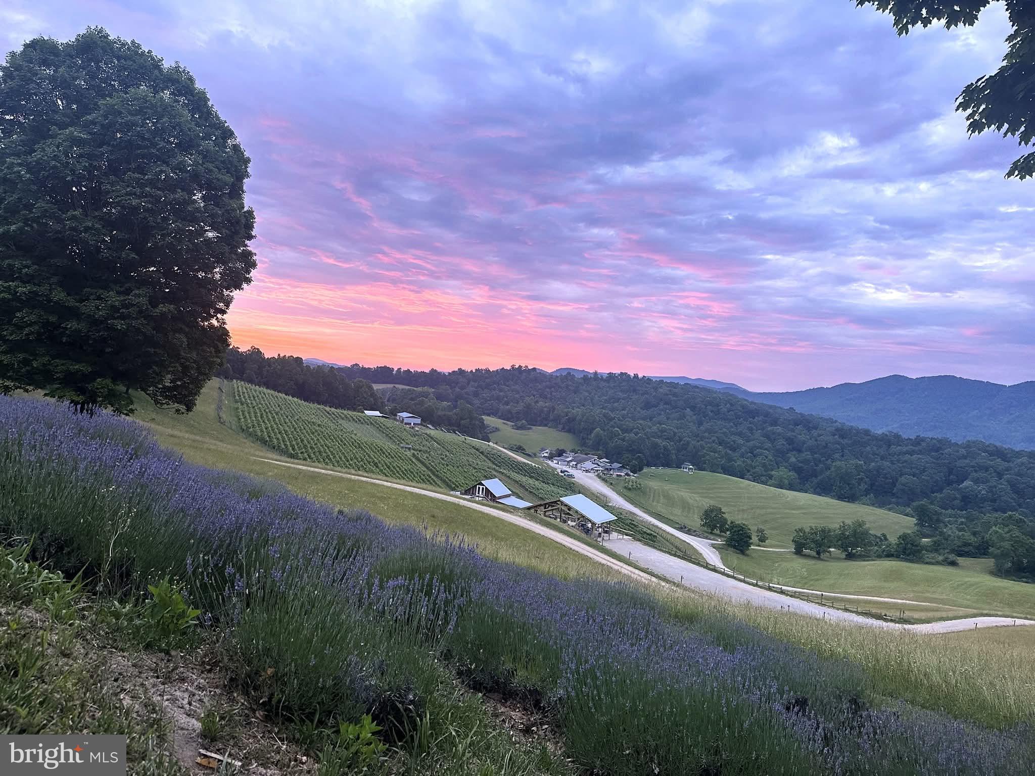 NONE AVAILABLE - Farm