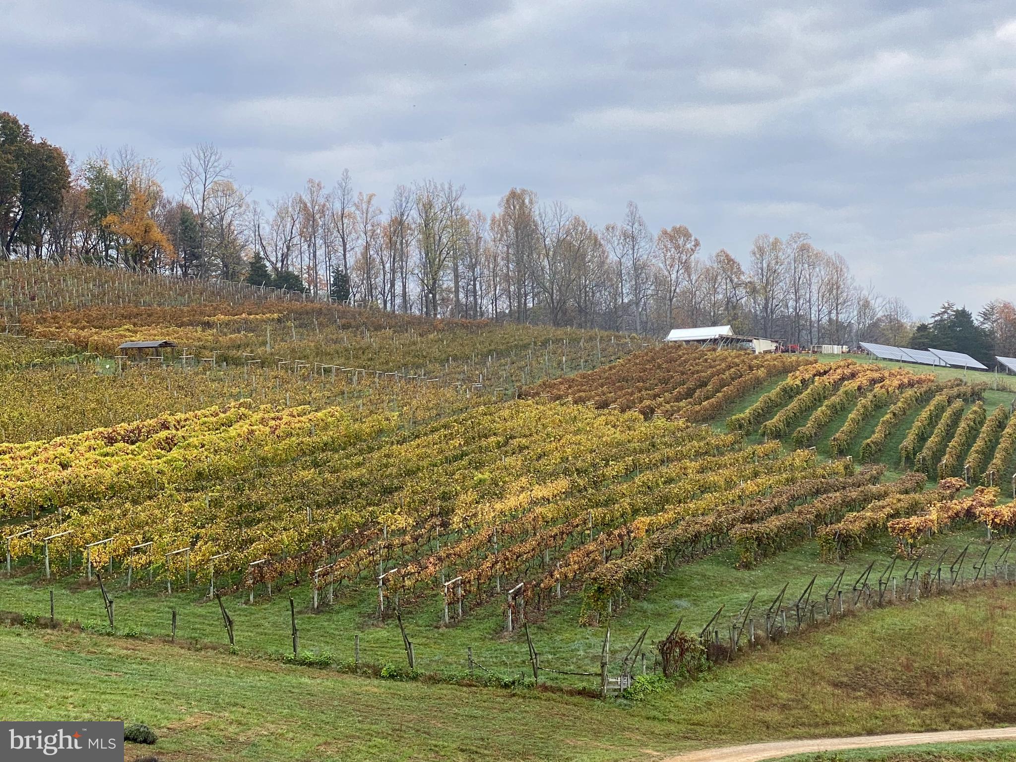 NONE AVAILABLE - Farm