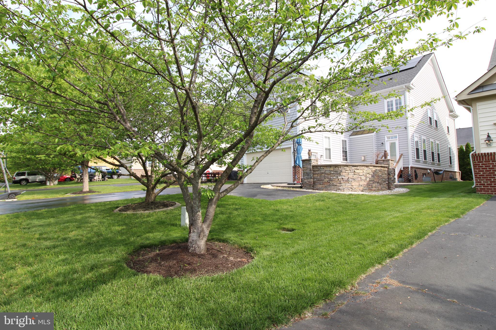 NEW BRISTOW VILLAGE - Residential