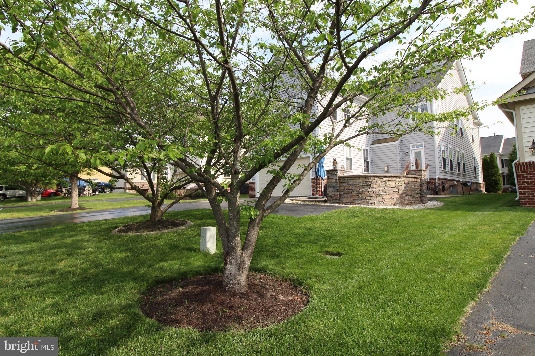 NEW BRISTOW VILLAGE - Residential