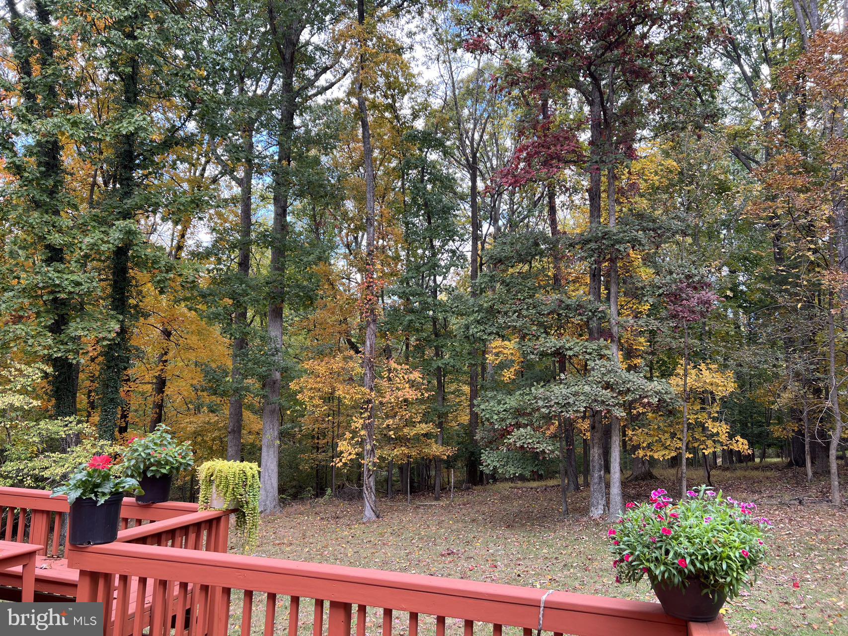 WILLOWBROOK - Residential