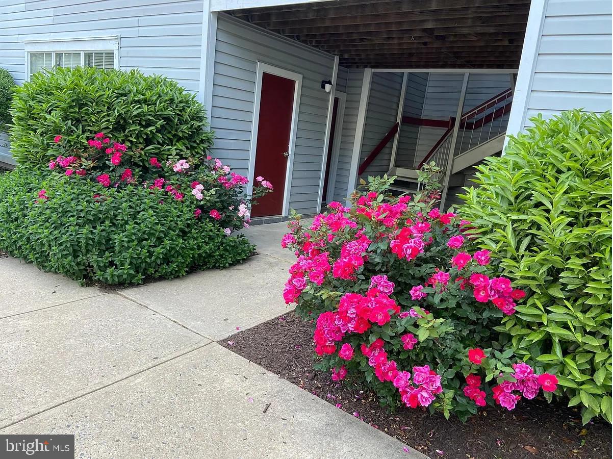 Two-bedroom and two-bathroom condo in the quiet community. Water is included in the rent. Washer and dryer in the unit. It is conveniently located close to Costco, shopping, restaurants, I-270, and commuter routes. Pets are considered on a case-by-case basis, but one small pet is okay with an additional pet security deposit and monthly rent.
