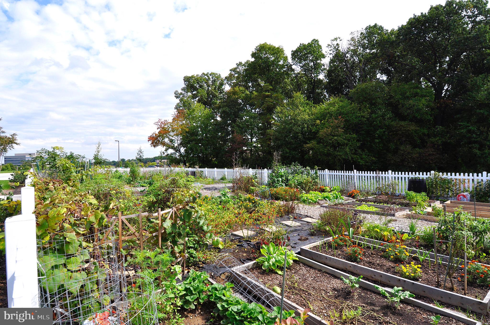 FALLSGROVE - Residential