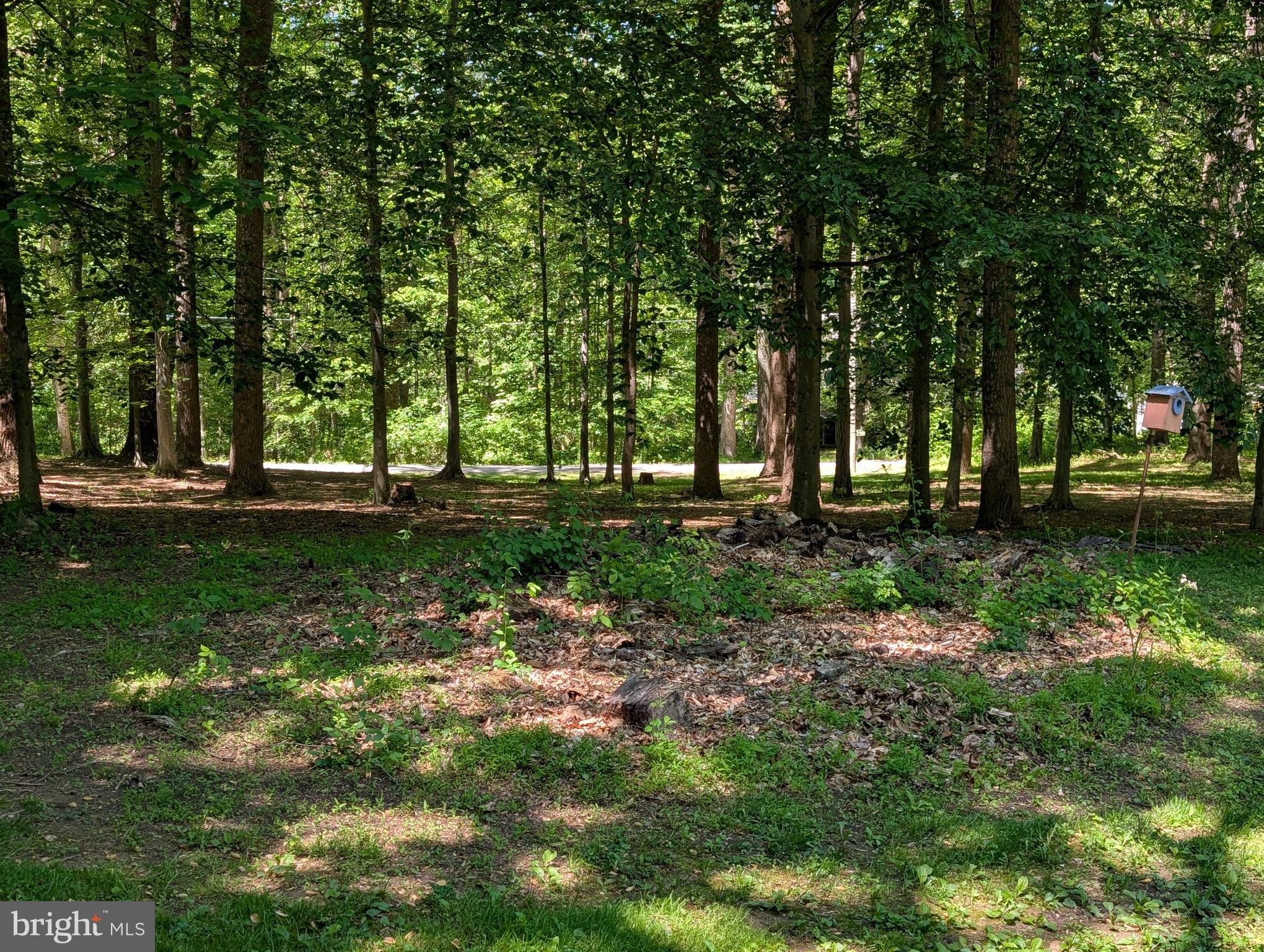 OLNEY OUTSIDE - Residential