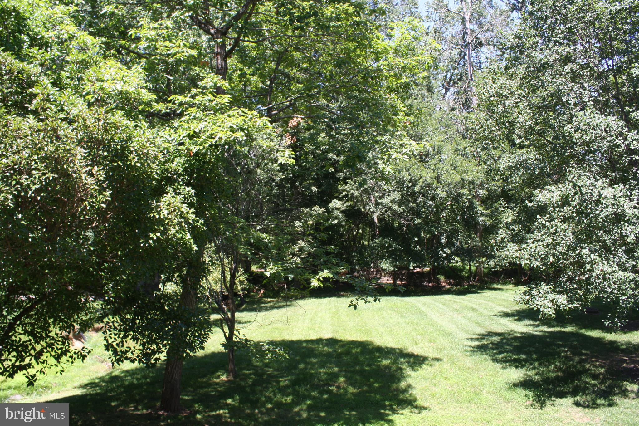 COUNTRYSIDE PROFESSIONAL - Residential Lease