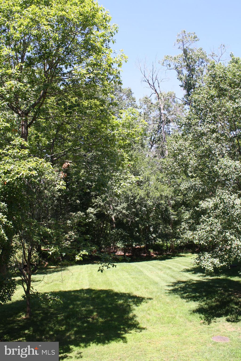 COUNTRYSIDE PROFESSIONAL - Residential Lease