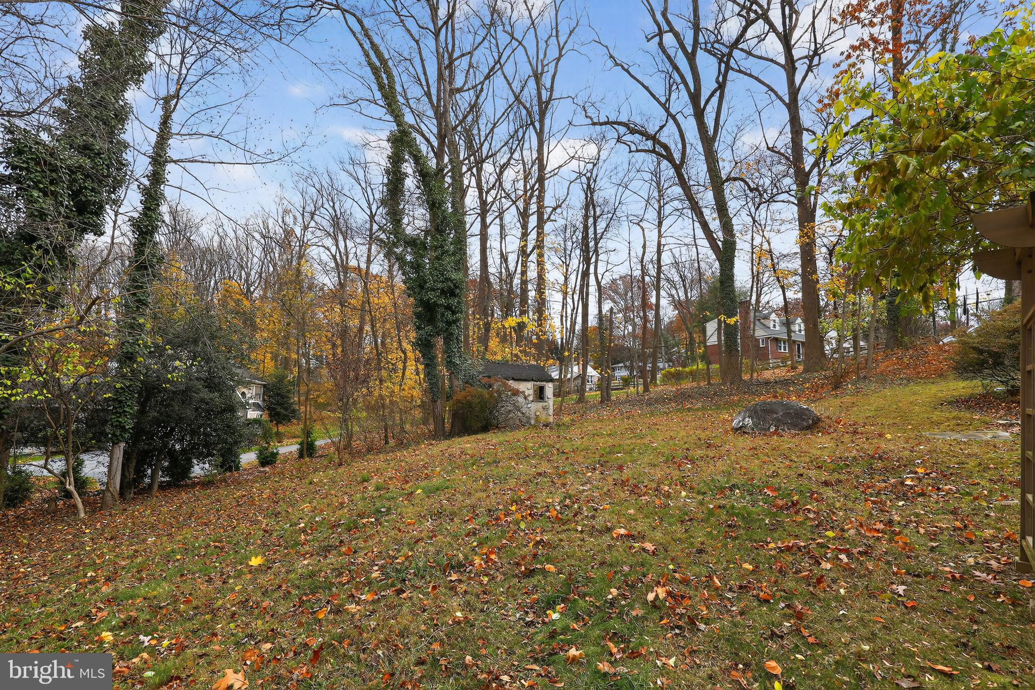 SHAND TRACT - Residential