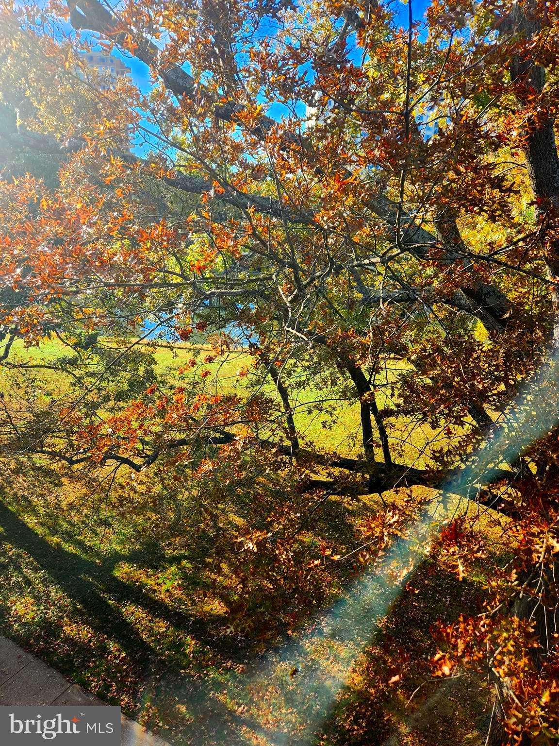 GROSVENOR PARK - Residential Lease