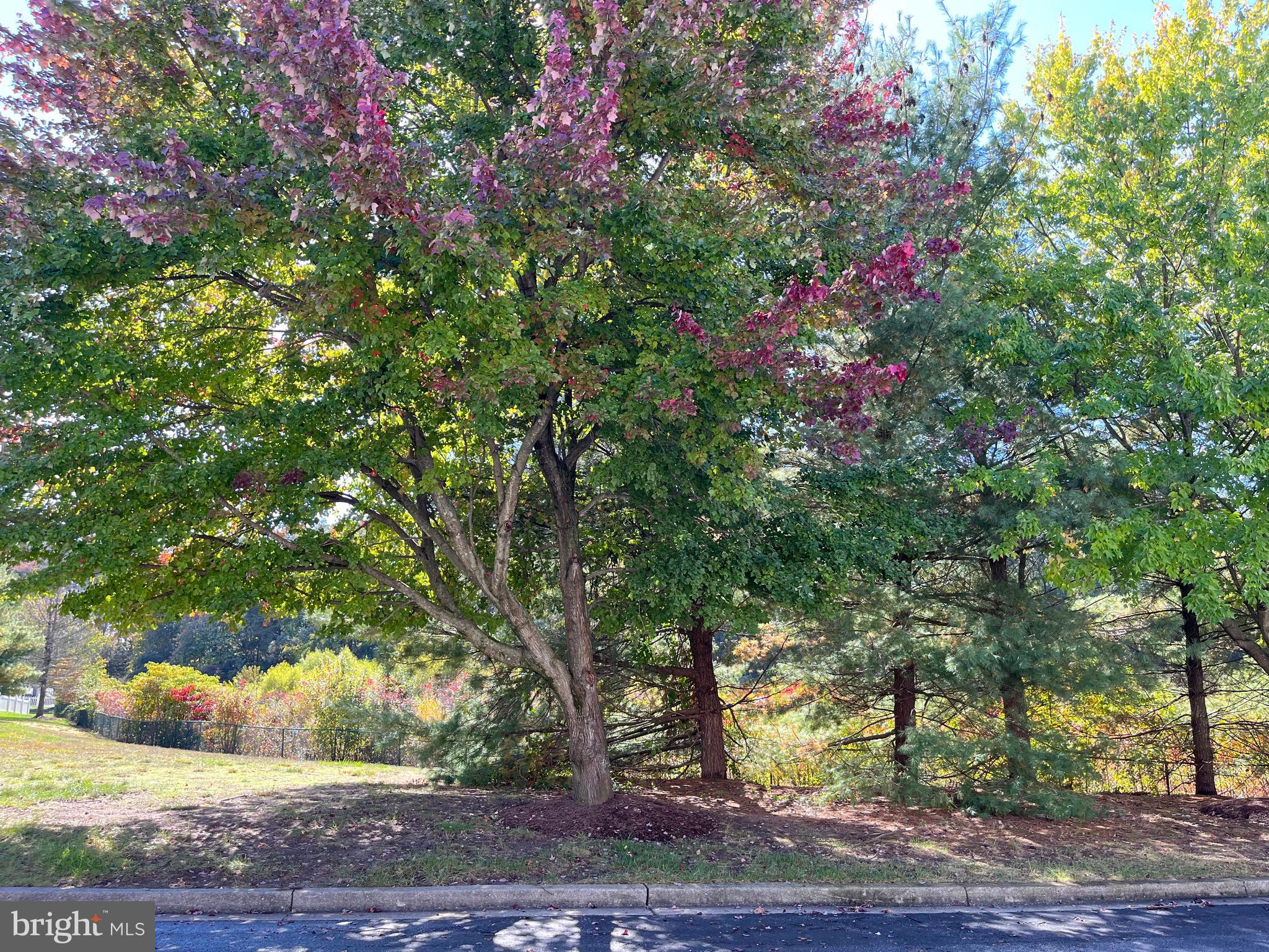 QUAIL RUN - Residential Lease