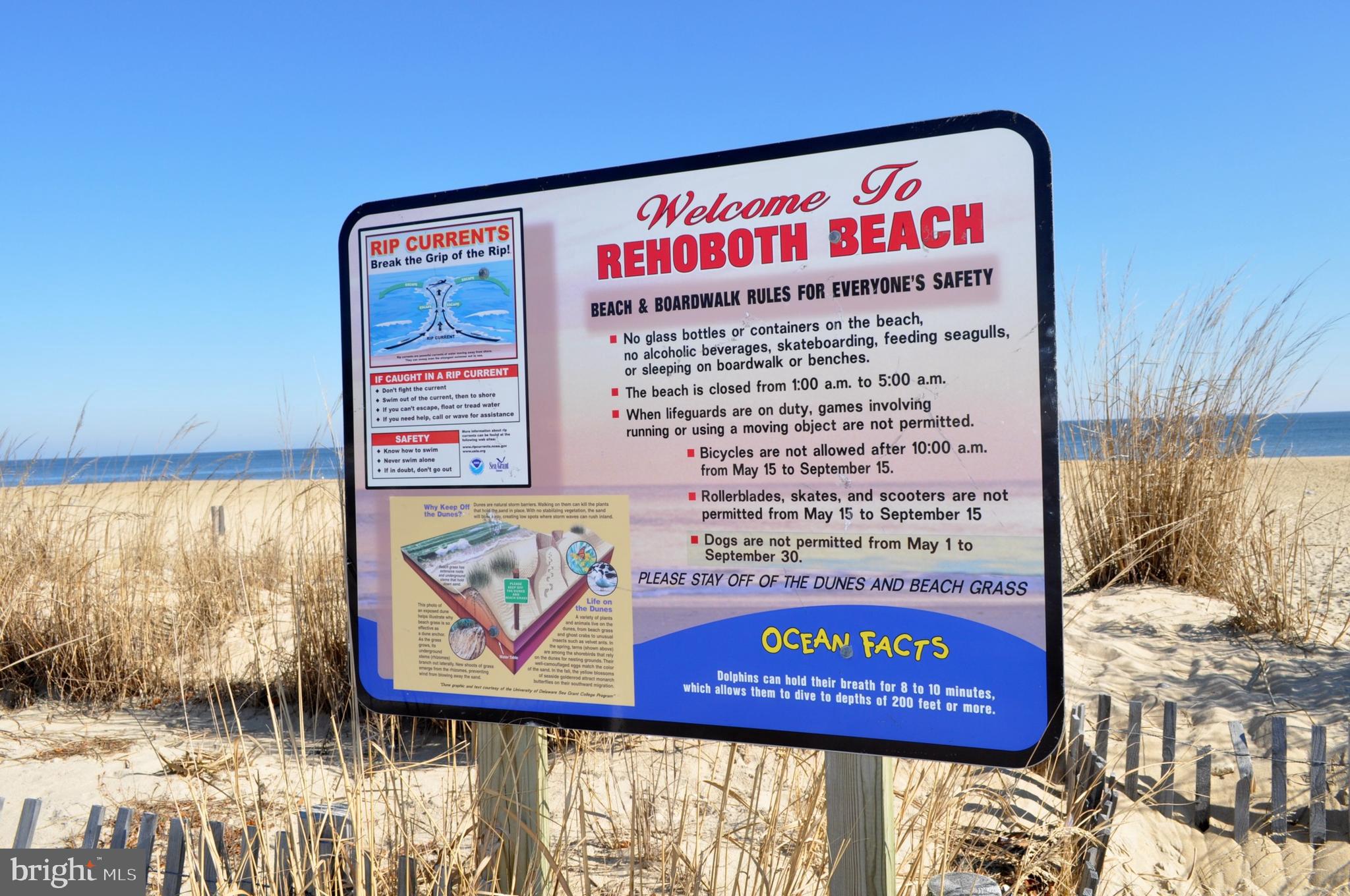 SOUTH REHOBOTH - Residential